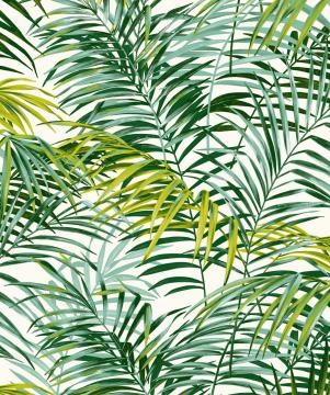 Saga Jardin Feng shui #3: les plantes à bannir