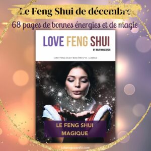 Lire la suite à propos de l’article Love Feng Shui Spécial-magie