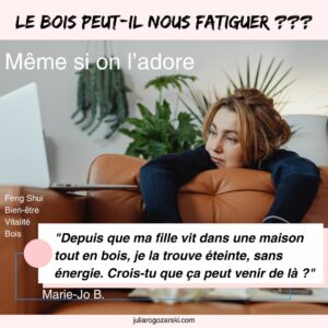 Lire la suite à propos de l’article Les maisons en bois peuvent-elles nous fatiguer ?